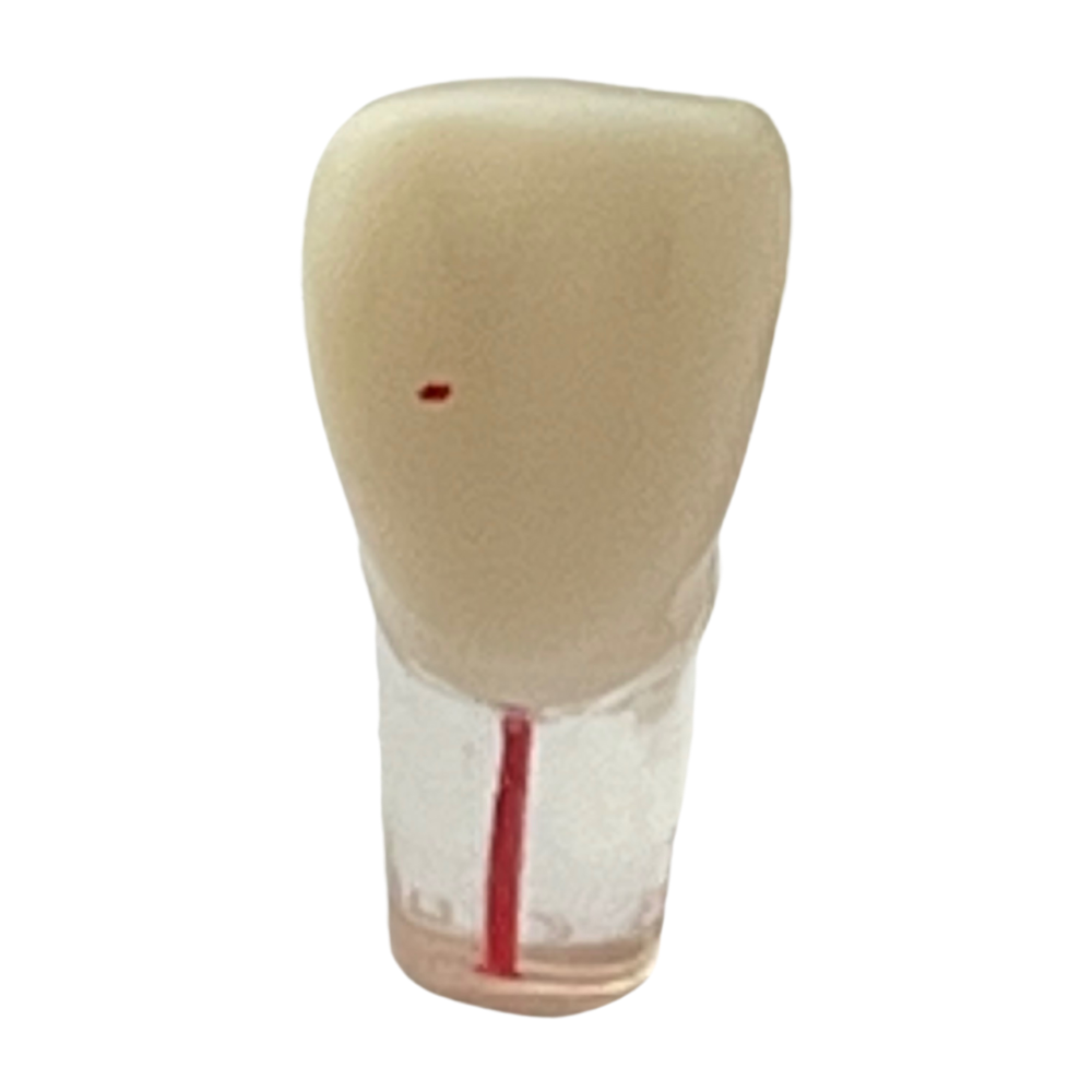 Dientes Endodoncia P/A8011 DT (Tipo Nissin 28 Dientes)*