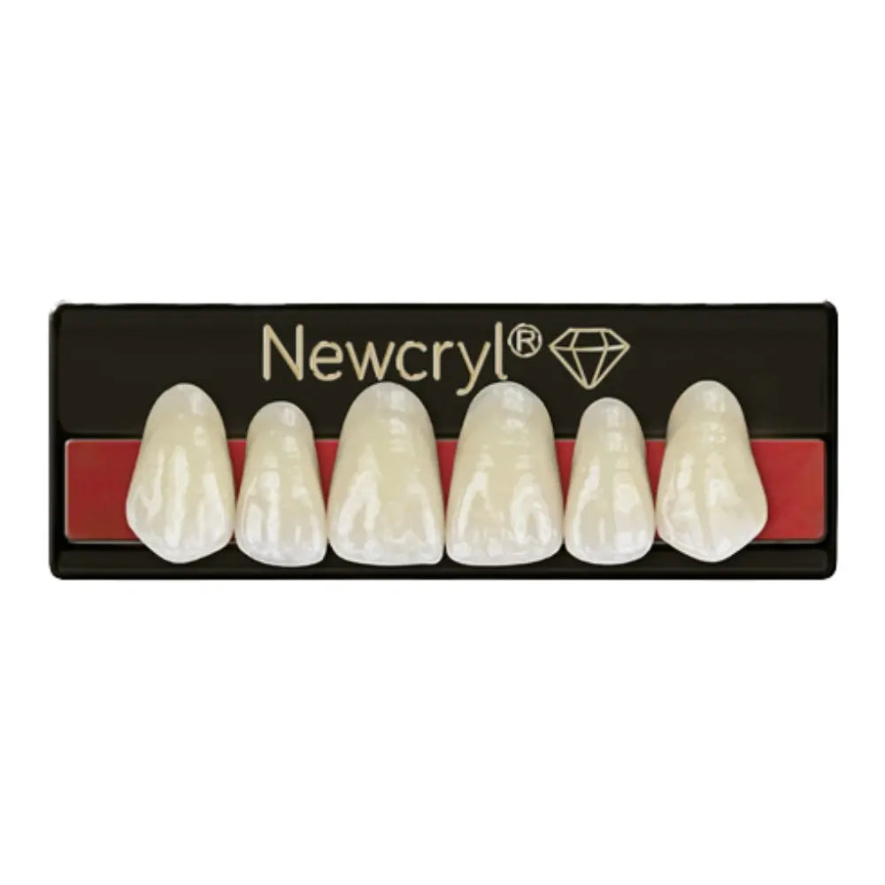 Newcryl Dientes Acrilico Newstetic