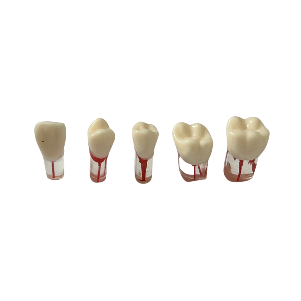 Dientes Endodoncia P/A8011 DT (Tipo Nissin 28 Dientes)*