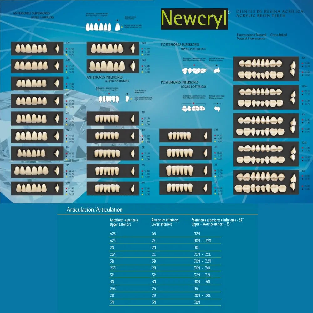 Newcryl Dientes Acrilico Newstetic