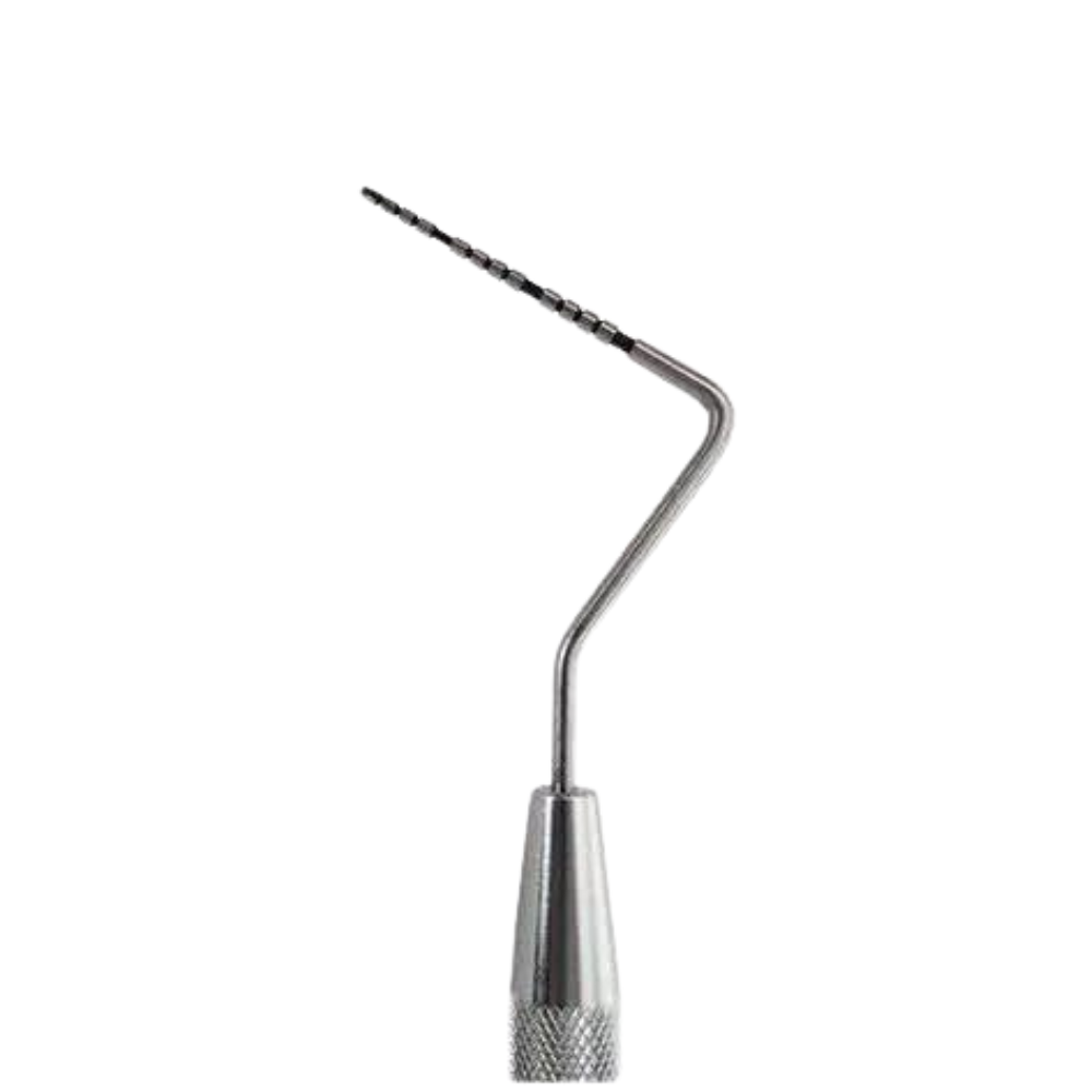 Sonda Carolina del Norte American Eagle