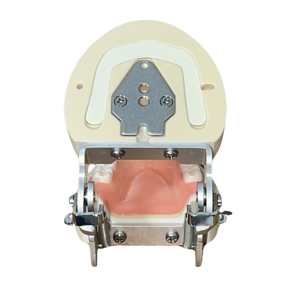 Nissin PRO2002 Tipodonto Adulto 28 Dientes