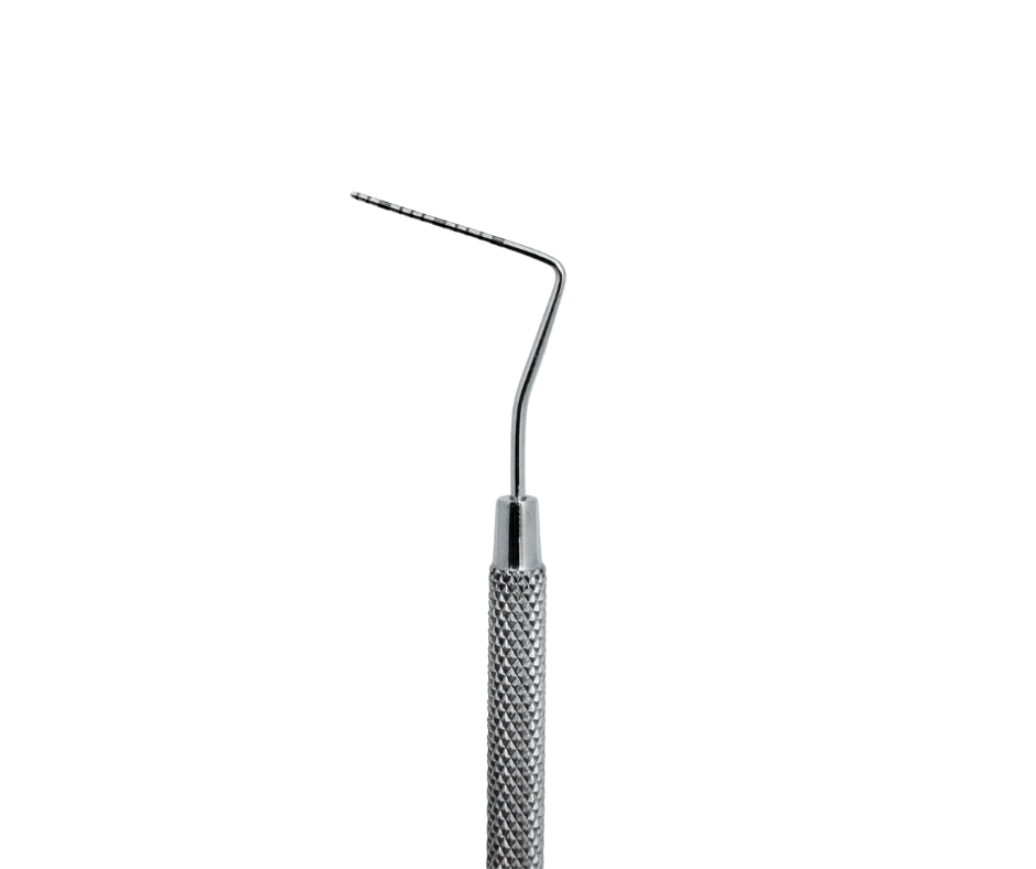 Sonda Carolina del Norte DT