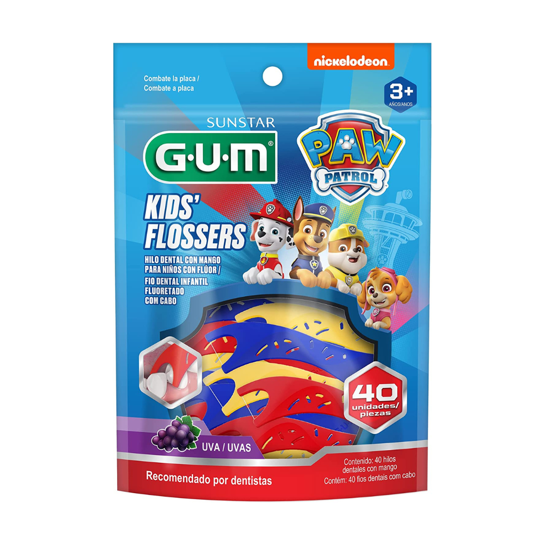 Hilo Dental Flosser Paw Patrol Gum