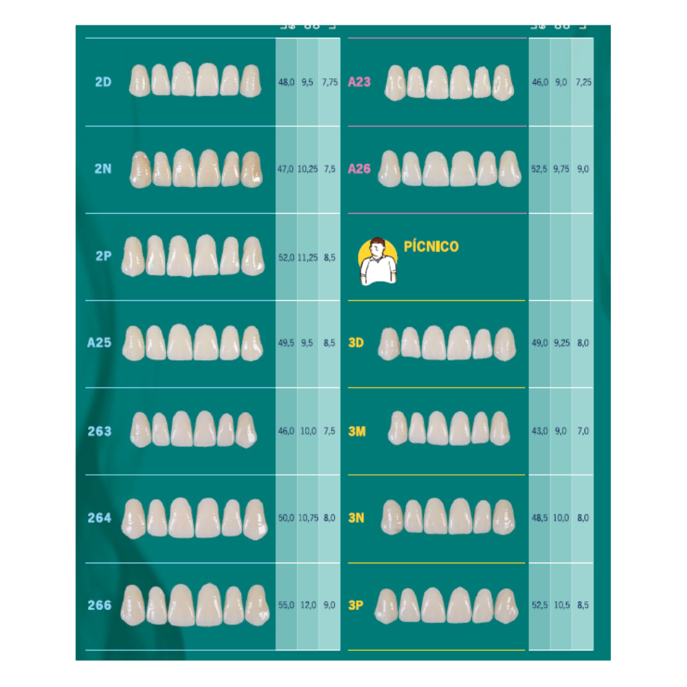 Biotone Anteriores Superiores 1X6 Dientes Tablilla