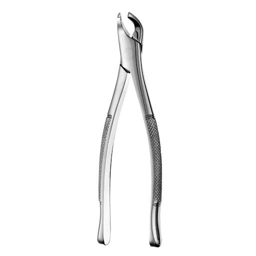 Forceps Orsa Adulto P/ Extraccion
