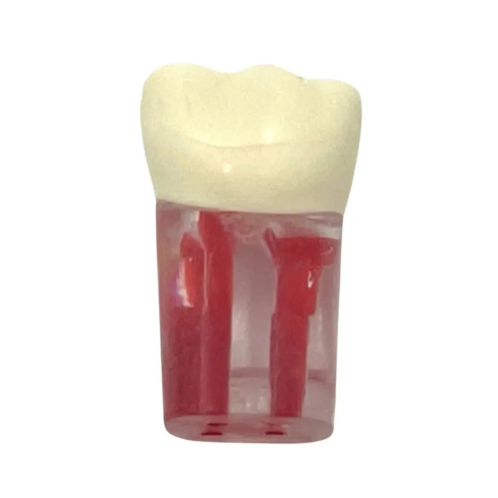 Dientes Endodoncia c/4 pz. DT