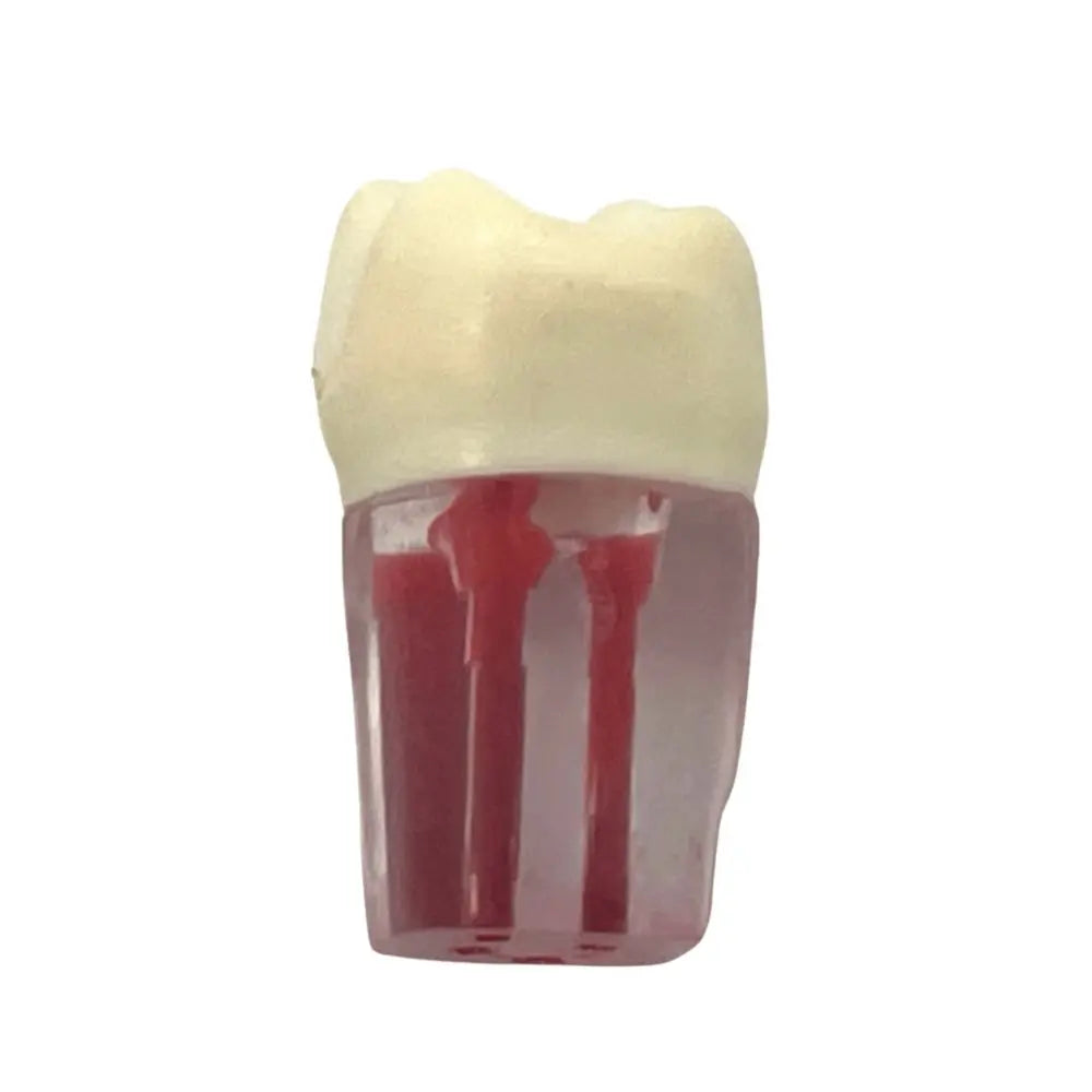 Dientes Endodoncia c/4 pz. DT