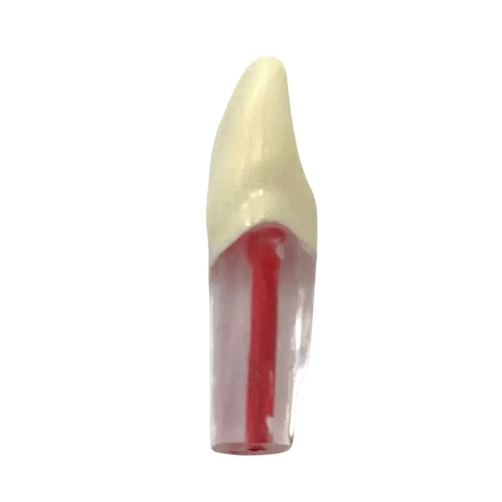 Dientes Endodoncia c/4 pz. DT