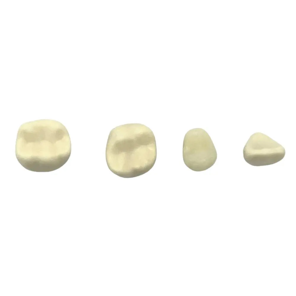 Dientes Endodoncia c/4 pz. DT