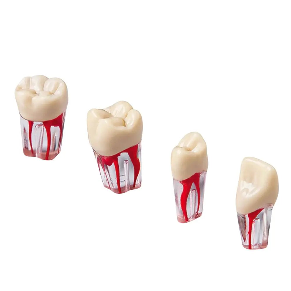 Dientes Endodoncia c/4 pz. DT