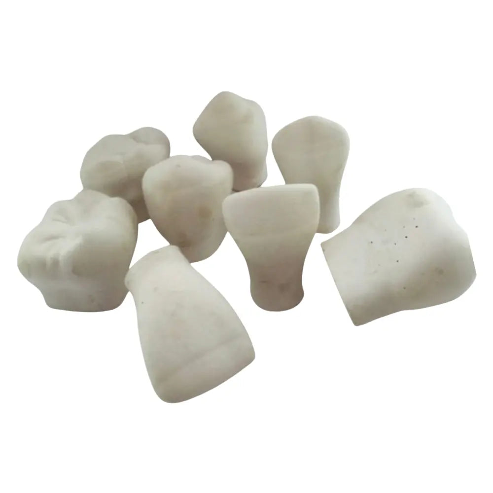 Macromodelos Dentales Yeso DT