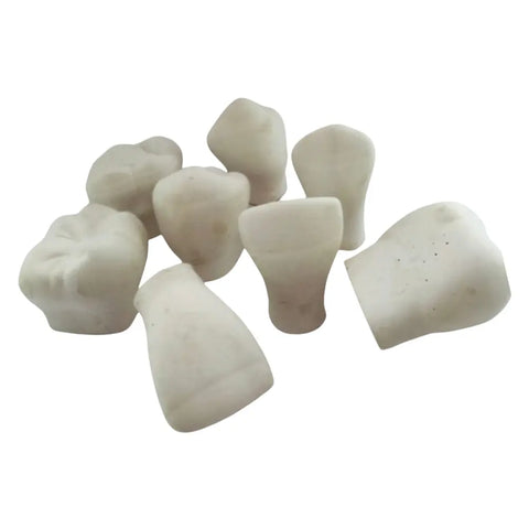 Macromodelos Dentales Yeso DT