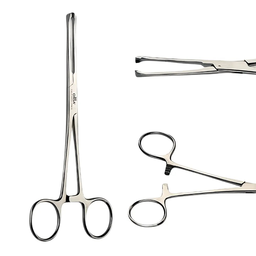 Pinza Allis Orsa