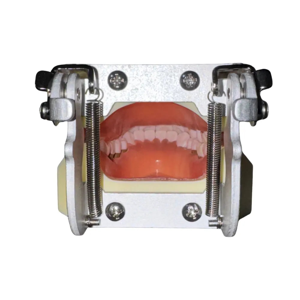 ProTrainer Periodoncia TN-A4023 Tipodonto Tipo Nissin 28 Dientes DT