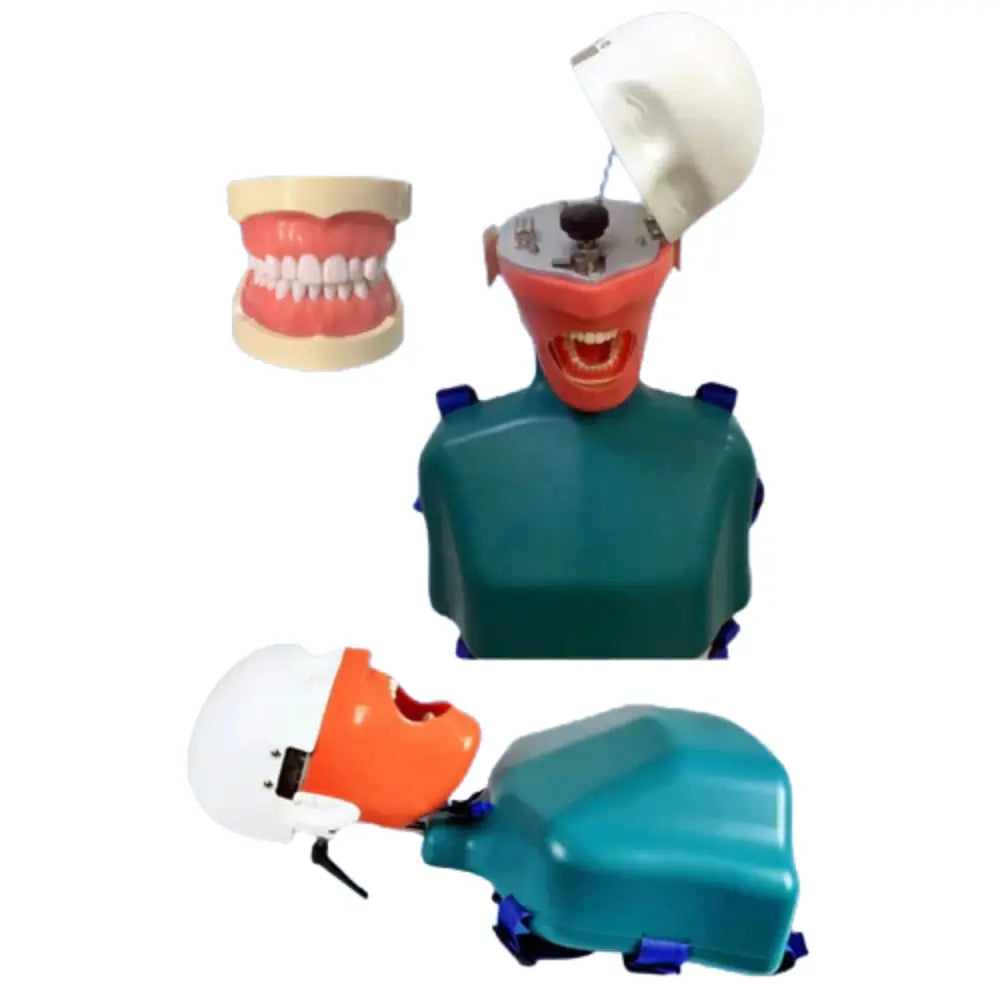 Simulador Dental Profesional DT