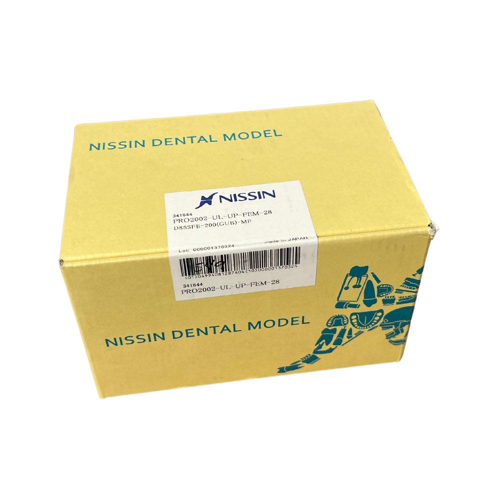 Nissin PRO2002 Tipodonto Adulto 28 Dientes