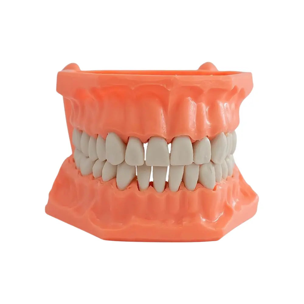Tipodonto Plastico Adysa