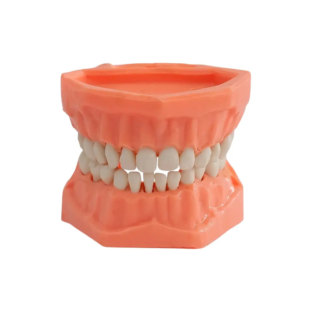Tipodonto Plastico Adysa