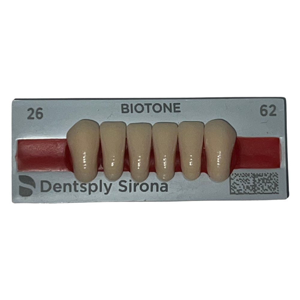 Biotone Anteriores Inferiores 1X6 Dientes Tablilla