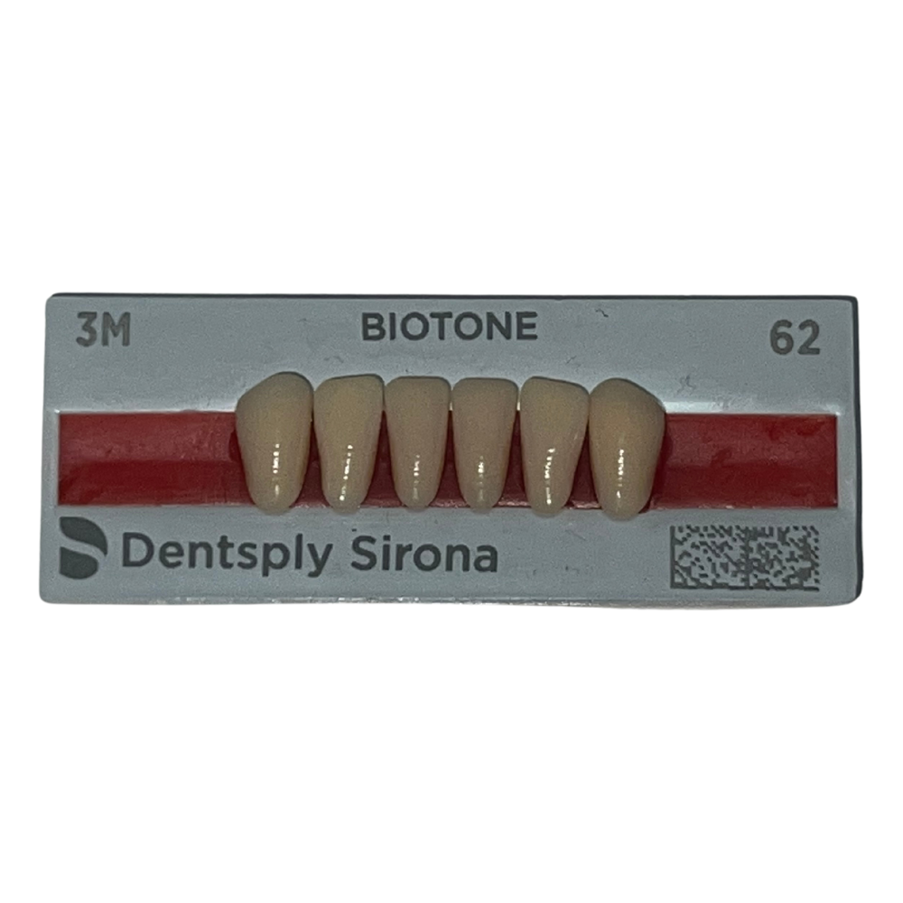 Biotone Anteriores Inferiores 1X6 Dientes Tablilla