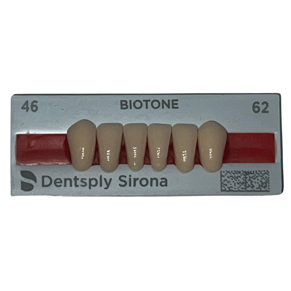 Biotone Anteriores Inferiores 1X6 Dientes Tablilla