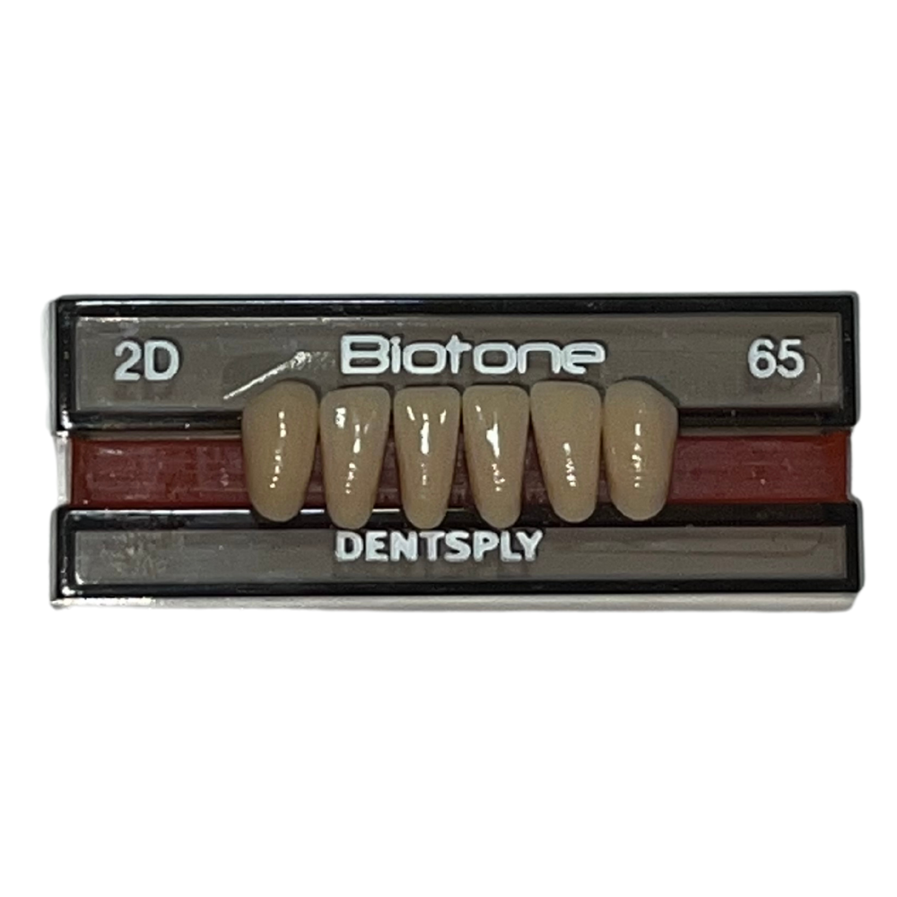 Biotone Anteriores Inferiores 1X6 Dientes Tablilla