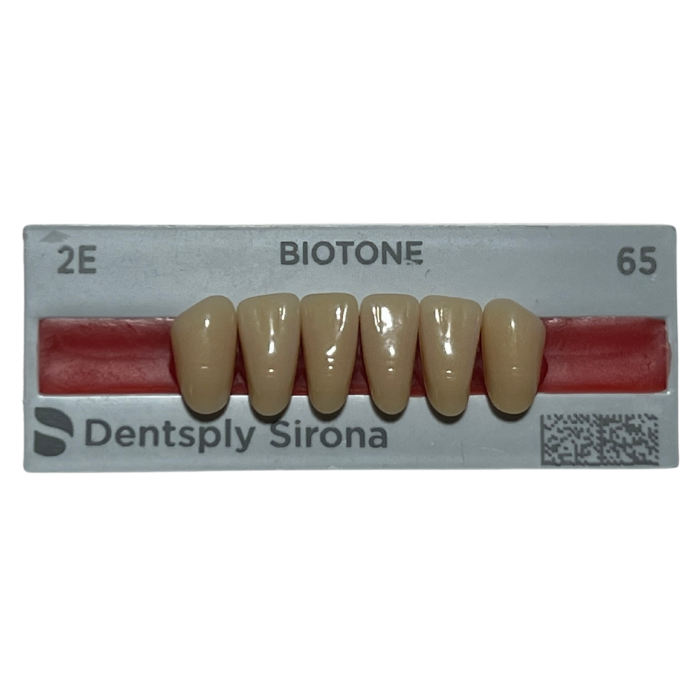 Biotone Anteriores Inferiores 1X6 Dientes Tablilla