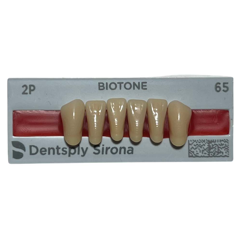 Biotone Anteriores Inferiores 1X6 Dientes Tablilla