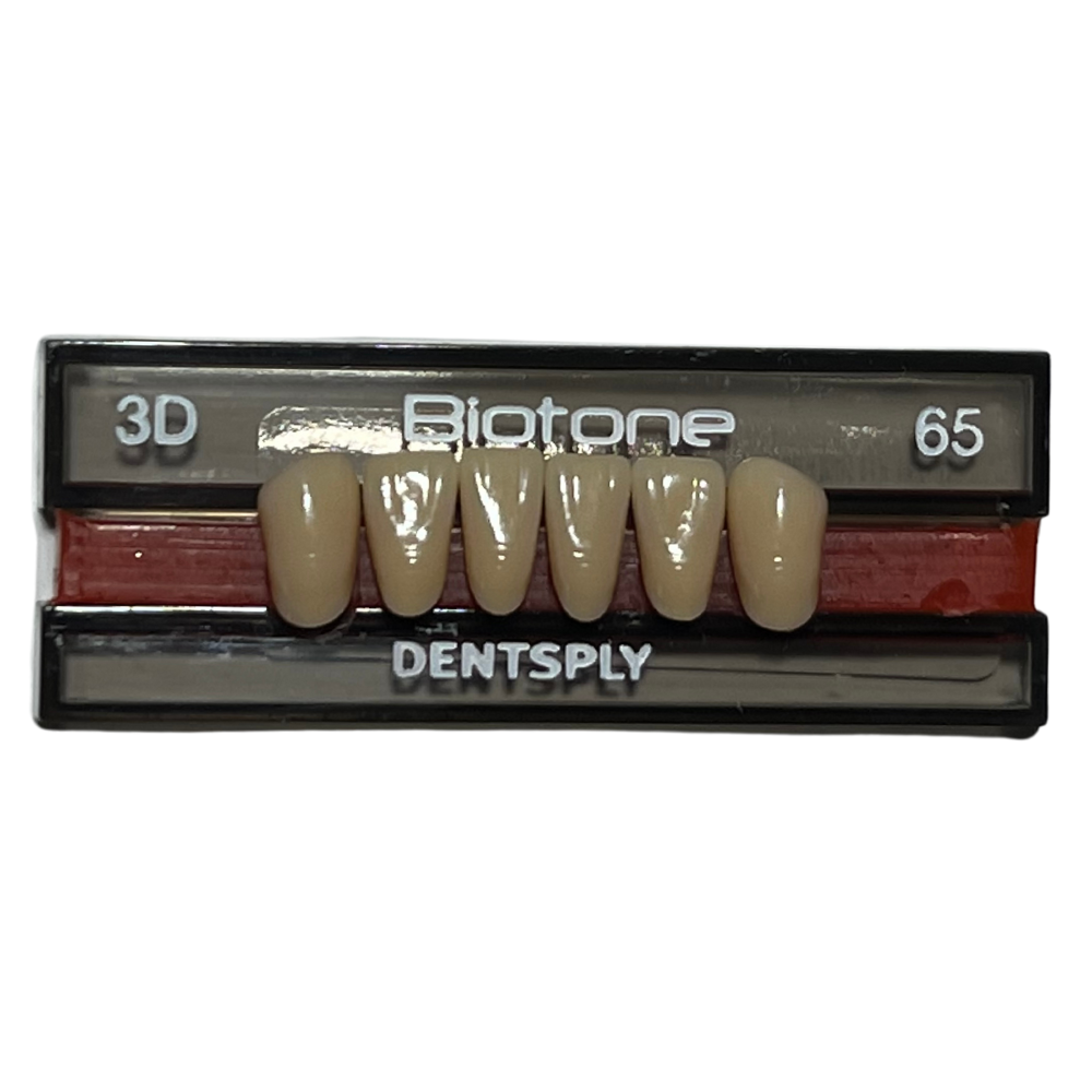 Biotone Anteriores Inferiores 1X6 Dientes Tablilla