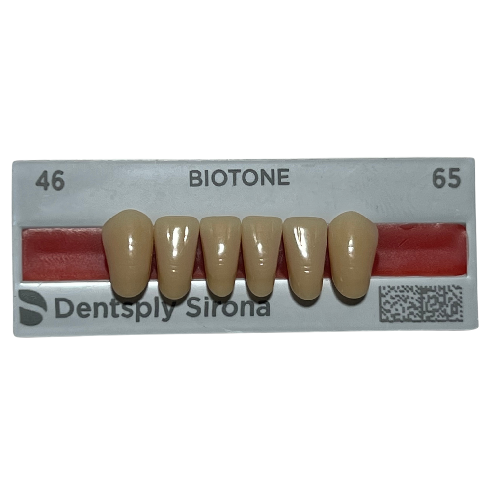 Biotone Anteriores Inferiores 1X6 Dientes Tablilla