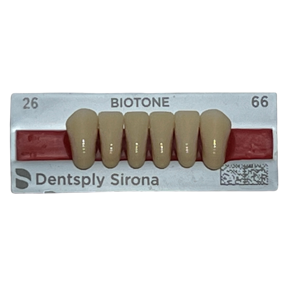 Biotone Anteriores Inferiores 1X6 Dientes Tablilla