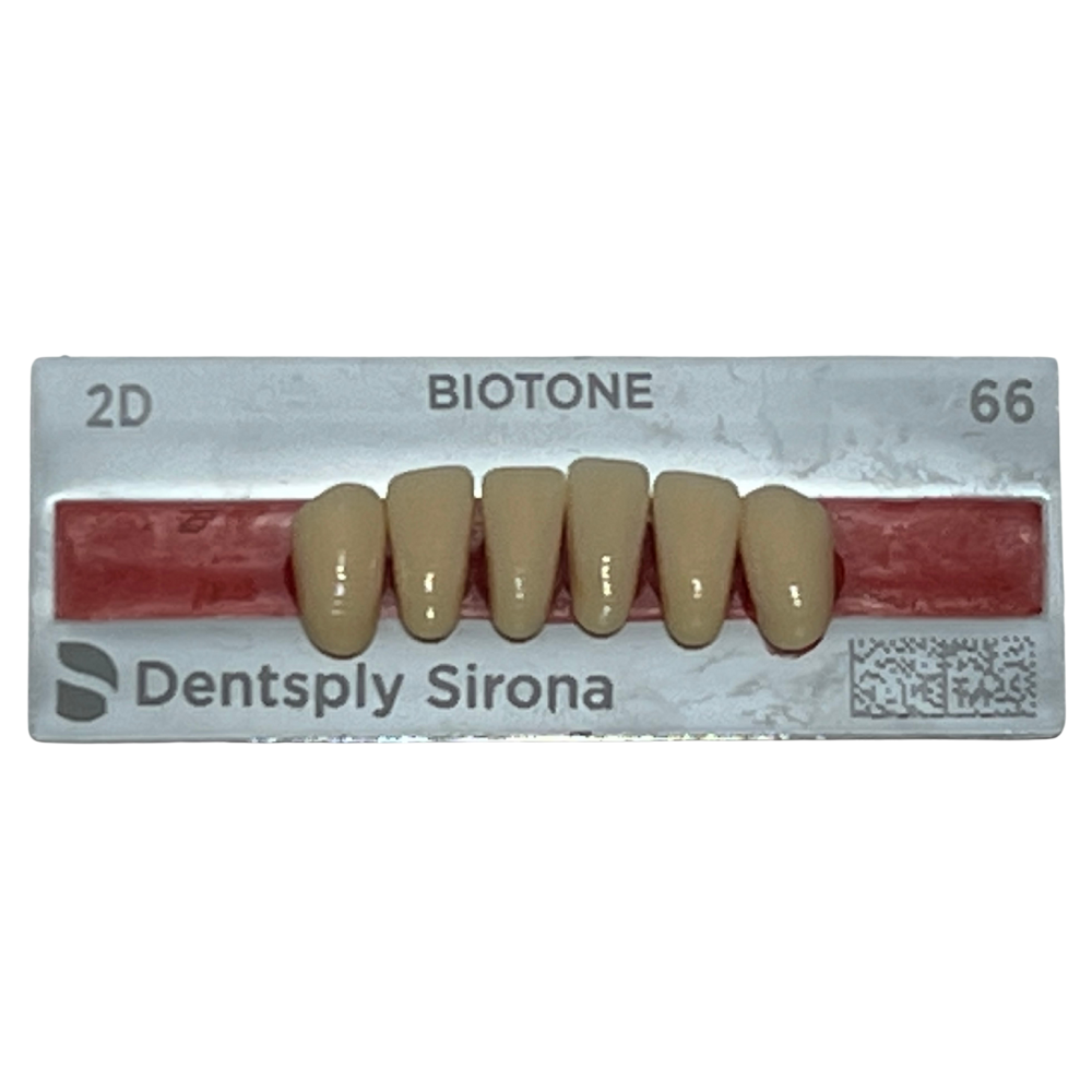 Biotone Anteriores Inferiores 1X6 Dientes Tablilla