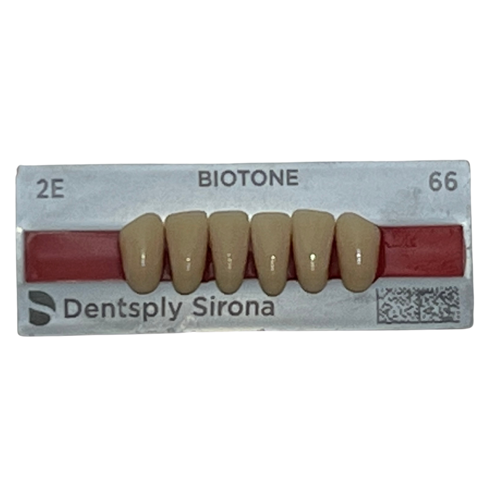 Biotone Anteriores Inferiores 1X6 Dientes Tablilla