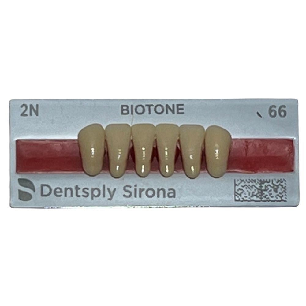 Biotone Anteriores Inferiores 1X6 Dientes Tablilla