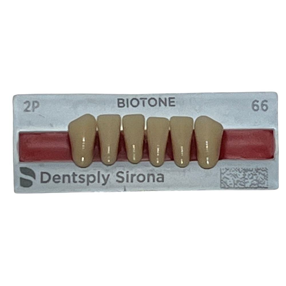 Biotone Anteriores Inferiores 1X6 Dientes Tablilla