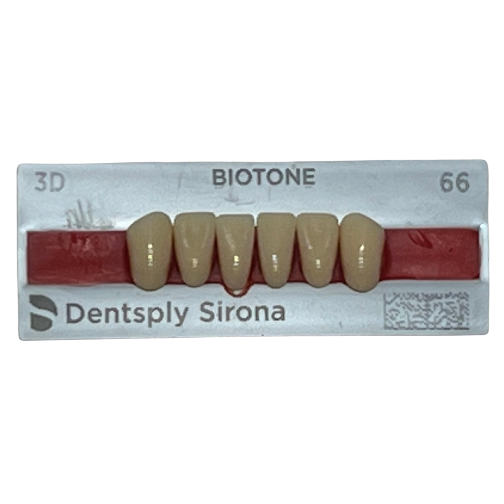 Biotone Anteriores Inferiores 1X6 Dientes Tablilla