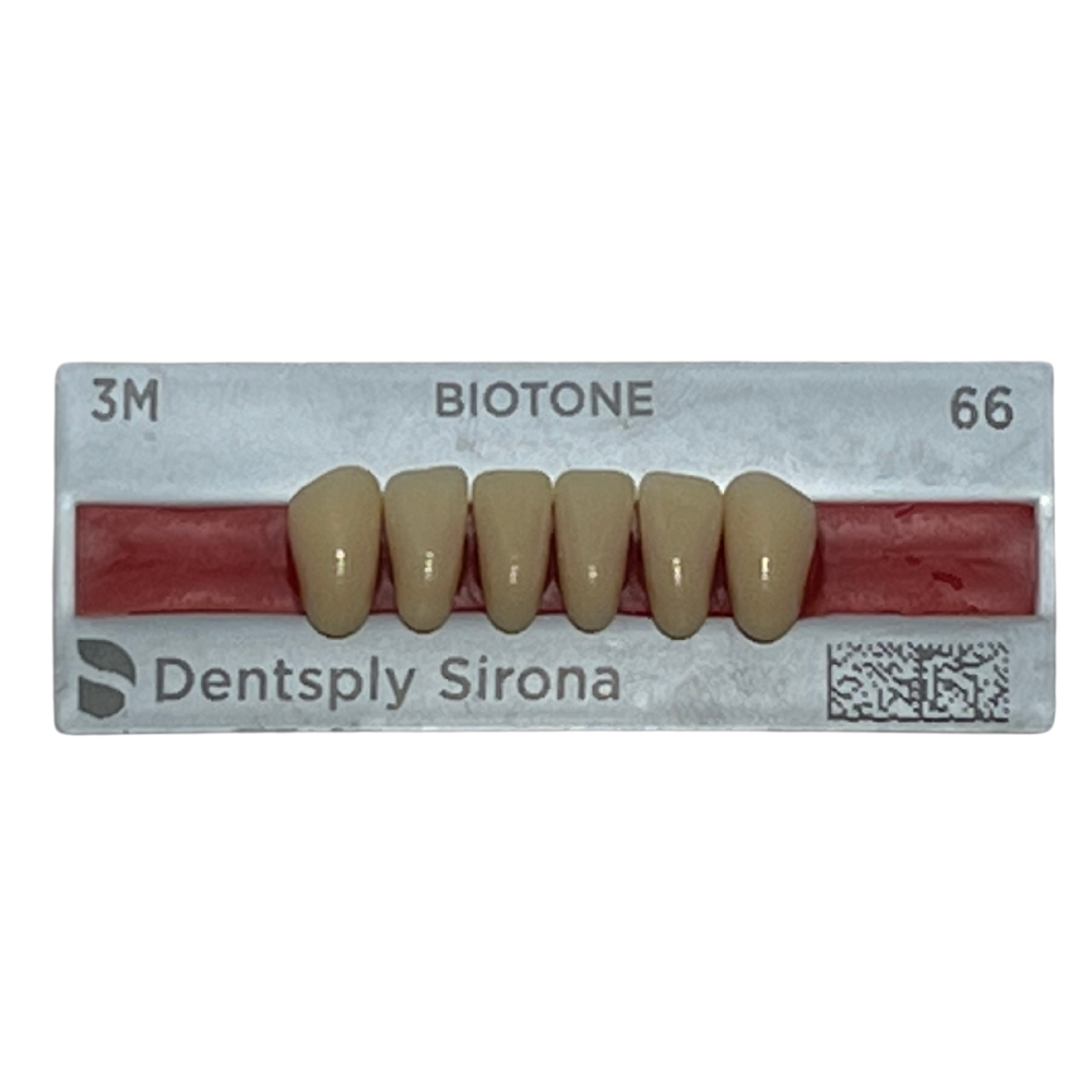 Biotone Anteriores Inferiores 1X6 Dientes Tablilla