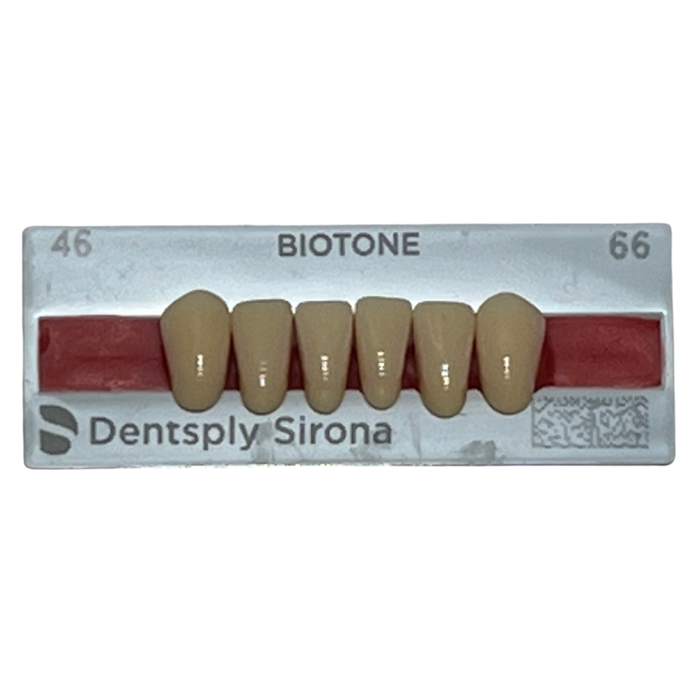 Biotone Anteriores Inferiores 1X6 Dientes Tablilla