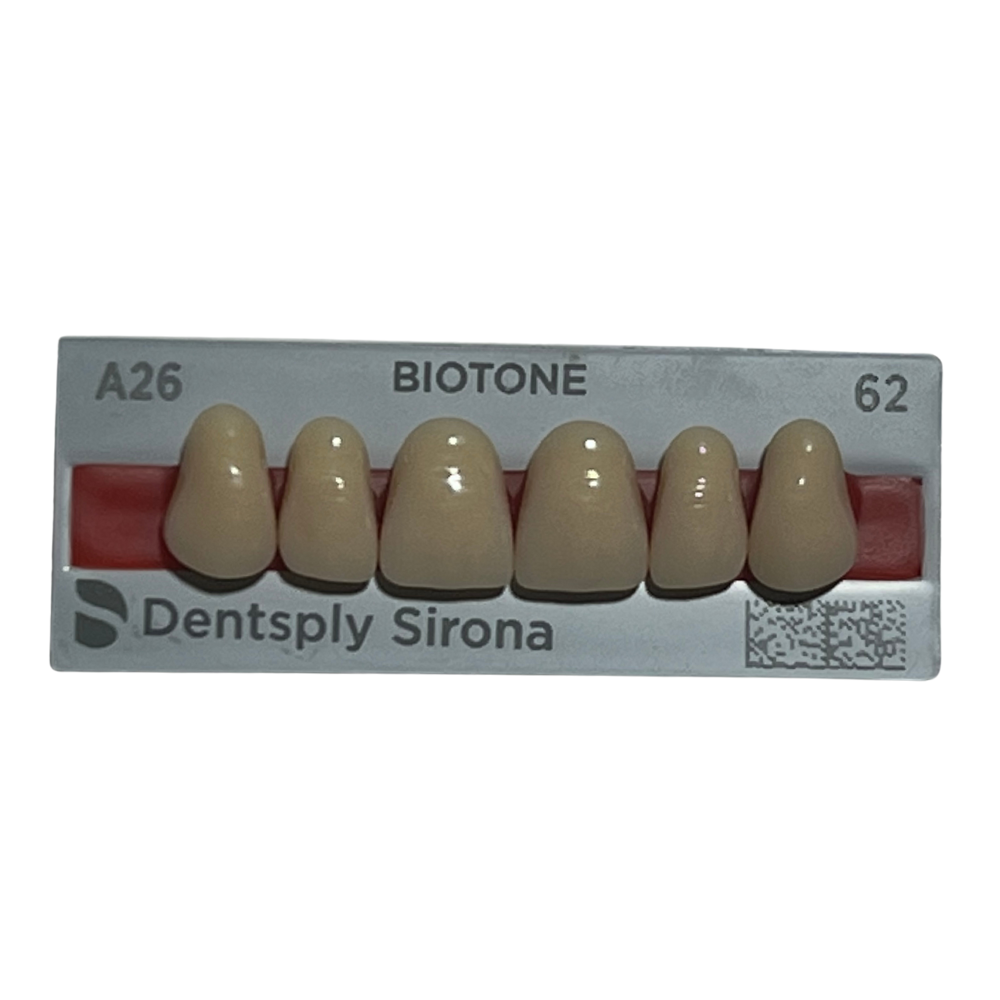 Biotone Anteriores Superiores 1X6 Dientes Tablilla