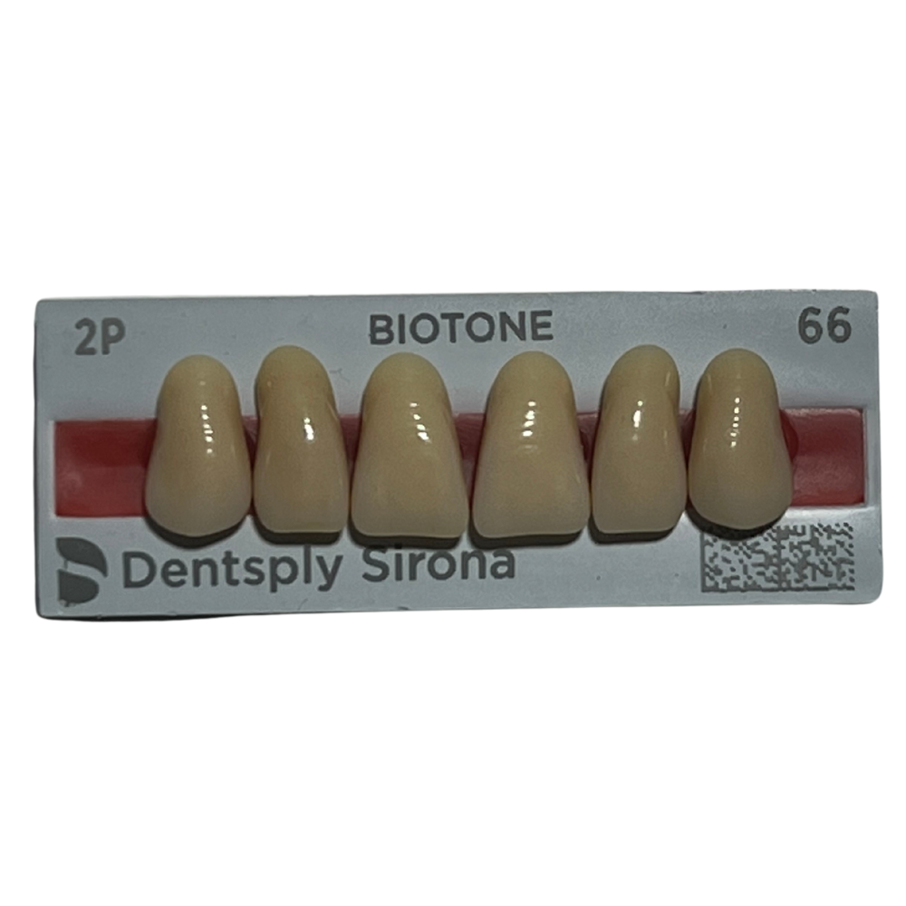 Biotone Anteriores Superiores 1X6 Dientes Tablilla