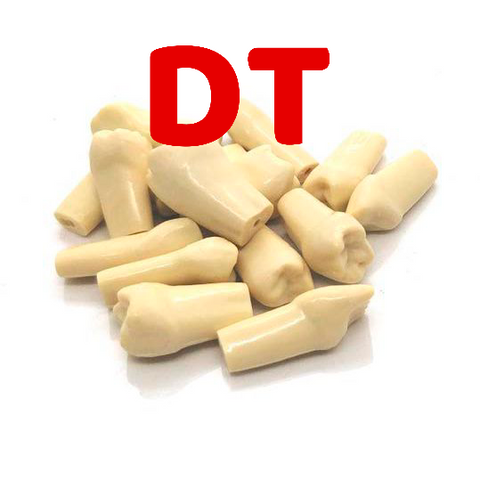 Dientes Tipo Frasaco Repuesto DT