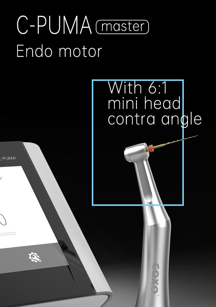 Motor Eléctrico C-Puma Master Coxo